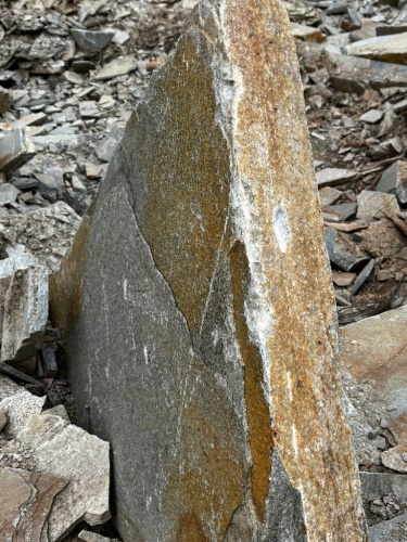 пошаговая дорожка плиты